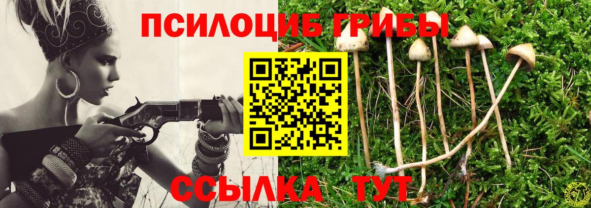 хочу наркоту  Вход с VPN  Ижевск  Псилоцибиновые грибы Psilocybe 